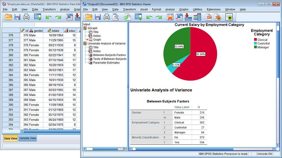 IBM SPSS Statistics : Mastering Data Analysis,Unleashing the Power #1